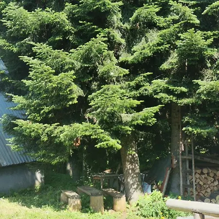 Bungalow Next To The Yastrebets Gondola Lift Gasthof *