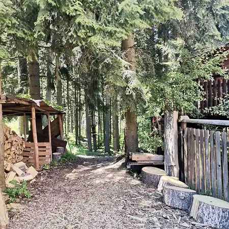 Bungalow Next To The Yastrebets Gondola Lift Gasthof Borowez